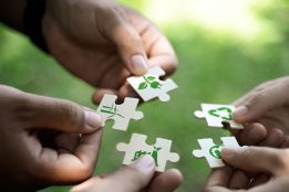 Programa de Sustentabilidade Ecos